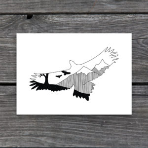Soaring Into the Weekend