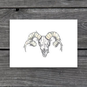 Ram Skull