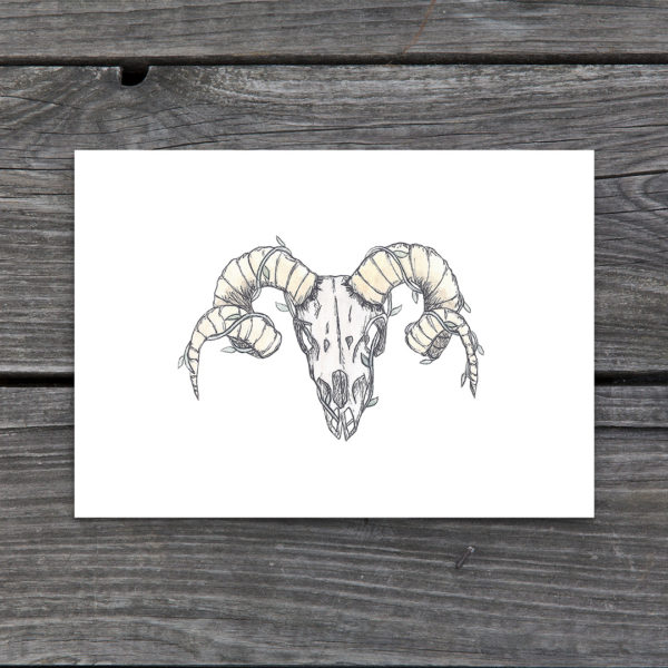 Ram Skull