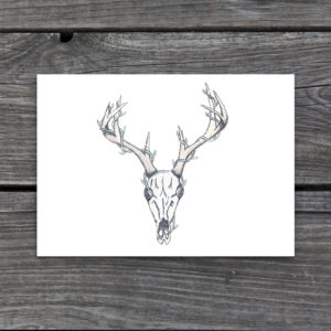 Stag Skull