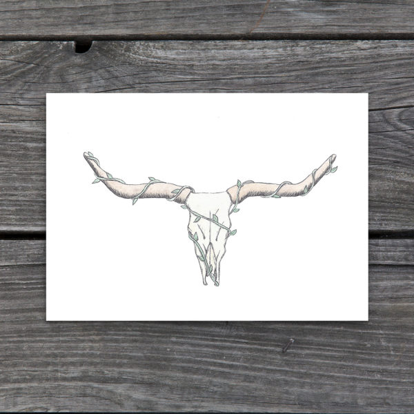 Bull Skull