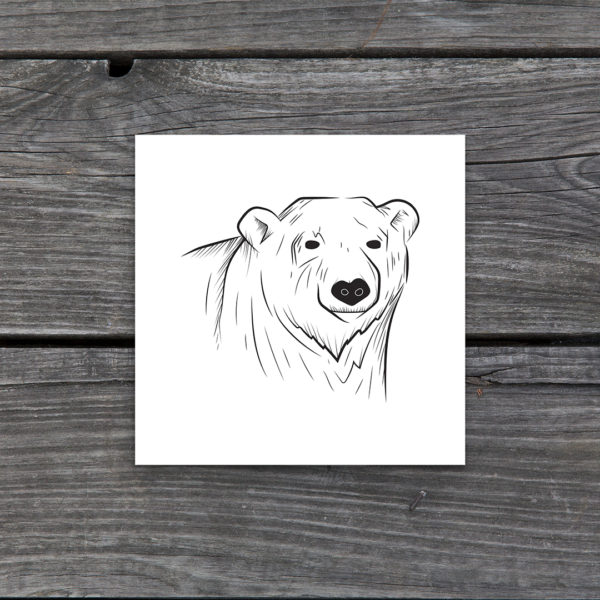 Polar Bear